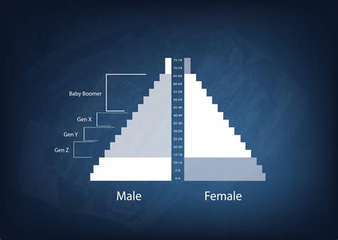 How To Create A Stunning Pyramid Chart In 5 Steps Venngage