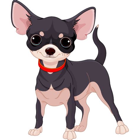 Cute Chihuahua Cute Chihuahua Cute Animals Dog Drawing