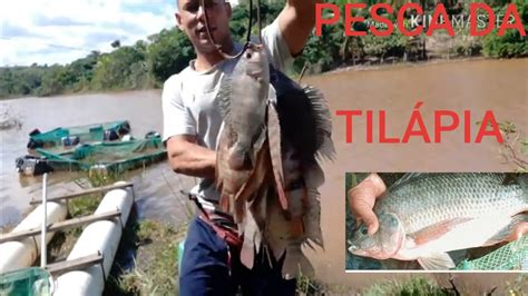 Pescaria De Til Pia Melhor Pescaria De Pescaria De Barranco S Til Pias Gigantes Youtube