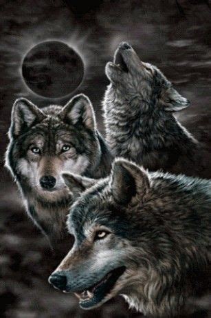 Why rome's gladiatorial games were more complex than just a blood sport, video story wolves wallpaper - Google zoeken | Wolven, Witte wolf ...