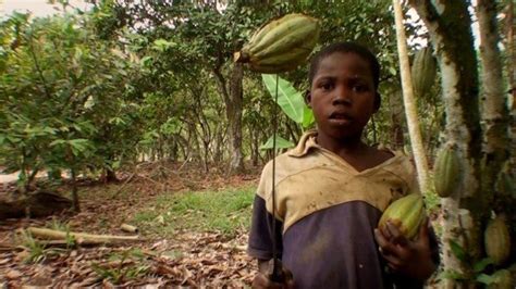 Petition · End Child Slavery In The Chocolate Industry ·