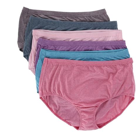 Fruit Of The Loom Womens Plus Size Beyond Soft Brief Underwear 6 Pack
