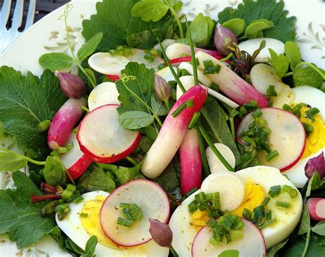Organic Turnip Salad With Summer Savory Dressing