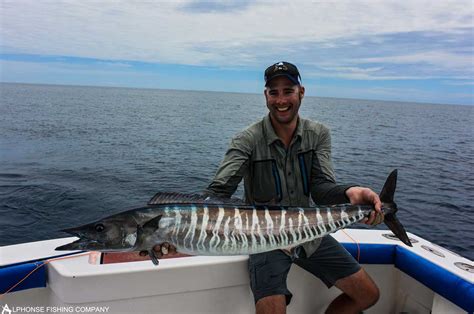 Fly Fishing for Wahoo - Flies, best rods, facts (wahoo ...