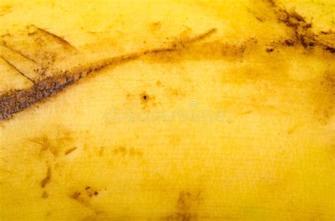 Banana Peel Texture Stock Image Image Of Nature Interesting 14120837