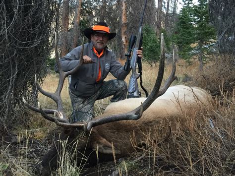 Elk Hunts Best Of The West Outfitters