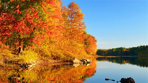 Maybe you would like to learn more about one of these? 2020 Fall Foliage Map | Mental Floss