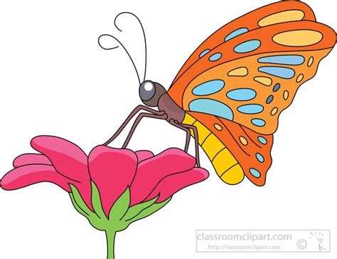 Butterfly Clip Art Butterfly Clipart Graphicsde Clipartix