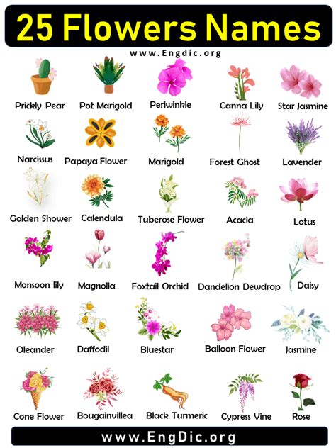 25 Flowers Names Flower Names List With Pictures Flower Names