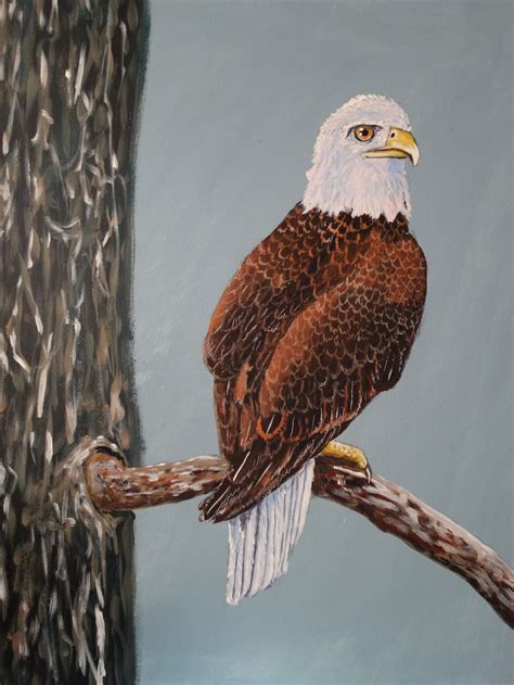 Bald Eagle On A Limb Original Acrylic Bird Art Eagle Art Etsy