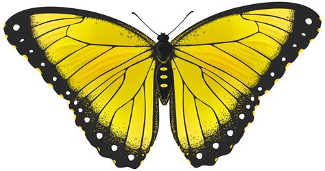 Free Yellow Butterfly Cliparts, Download Free Yellow Butterfly Cliparts png image