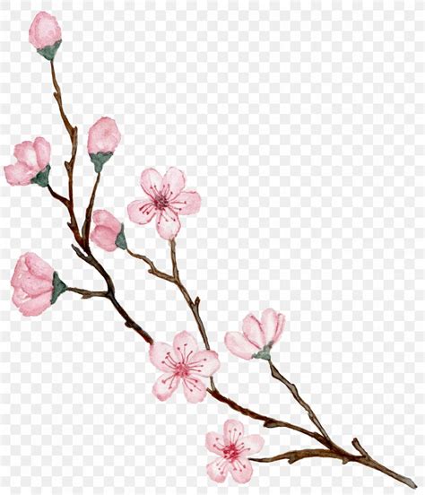We did not find results for: Cherry Blossom Design Drawing Illustration, PNG ...