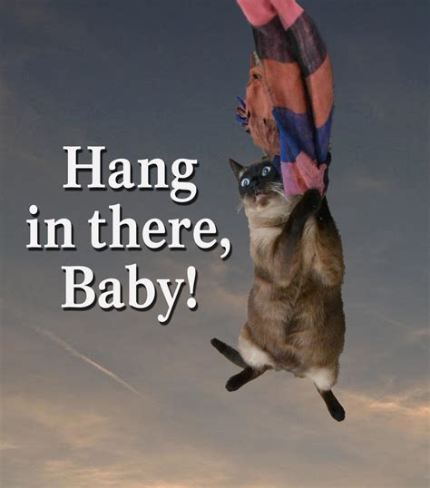 Hang In There Baby by bytor137 on DeviantArt