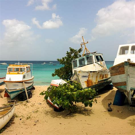 Кухня, транспорт и многое другое. My Insider's Guide to Visiting Barbados Without Blowing ...