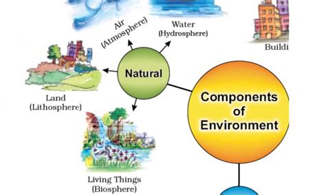 Components Of Environment Definition Chart Pdf For Class 7