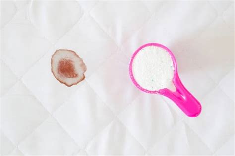 Framboises, fraises, airelles, cassis, cerises, groseilles… ces fruits délicieux sont une plaie comment enlever des tâches d'herbe ? Comment Enlever une Tache de Sang avec des Ingrédients qu ...