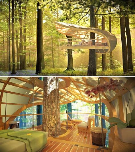 Amazing Hanging Treehouse Merges With Nature Cool Tree Houses Tree House Tree House Designs