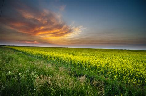 2736x1824 Resolution Green Field During Sunset Hd Wallpaper