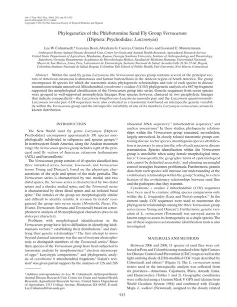Download PDF Phylogenetics Of The Phlebotomine Sand Fly Group Verrucarum Diptera Psychodidae