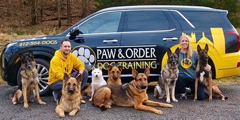 Paw And Order Dog Training Franchise Opportunity