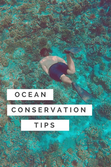 Ocean Conservation For Travelers 5 Tips From A Truthful Traveler In