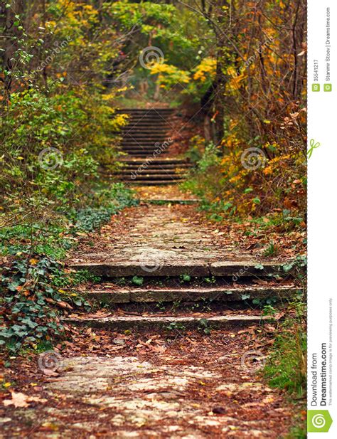 Stairs In Forest Stock Image Image Of Path Hiking Background 35541217