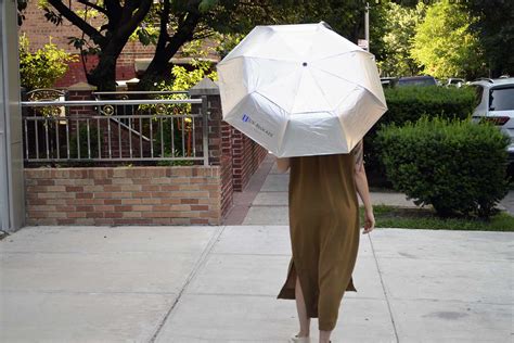The 8 Best Uv Umbrellas For Maximum Sun Protection 2022