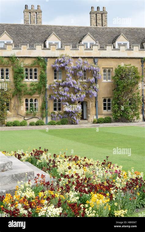 Cambridge University Courtyard Stock Photo Alamy