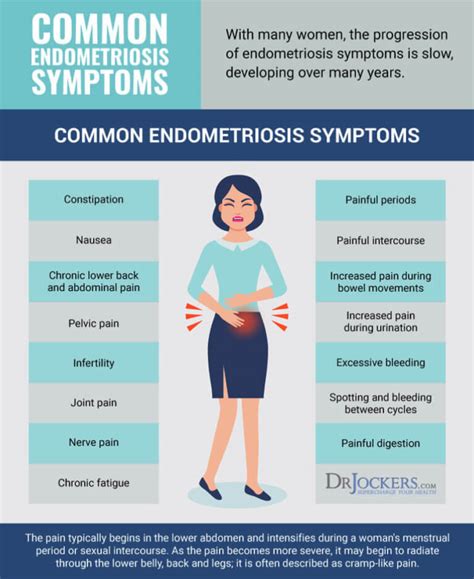 Endometriosis Symptoms Causes And Natural Support Strategies