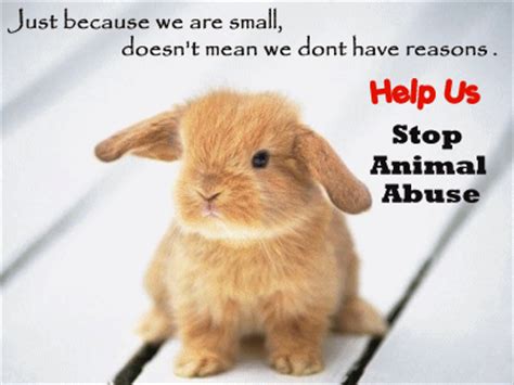 Humans are overwhelmingly responsible for environmental changes and the shifting dynamics of other species. Stop Animal Cruelty!!! - Against Animal Cruelty! Photo (7968361) - Fanpop