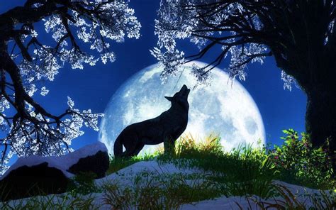 🔥 Free Download Wolf Howling At The Moon Wallpapers 1920x1080 For