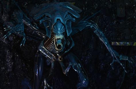 Neca Reveals Aliens Queen Ultra Deluxe Figure The Toyark News