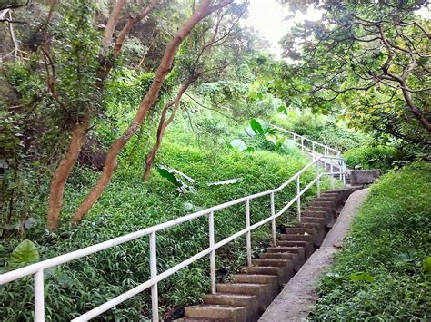 Wan Chai Green Trail Hong Kong Ce Quil Faut Savoir