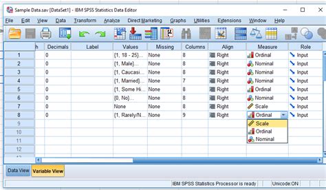 Data Management In Spss Statistics Solutions