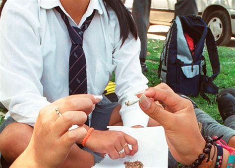 175 Kilos De Drogas Son Hallados En Colegios De Bogotá