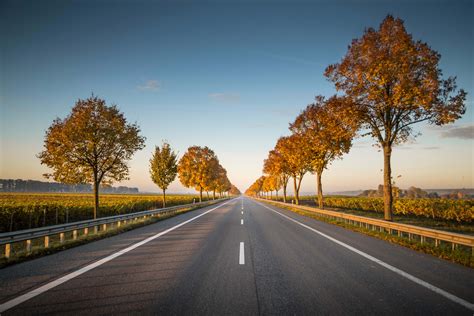 Highway Long Straight Road With Trees On The Side Nature Image Free Photo