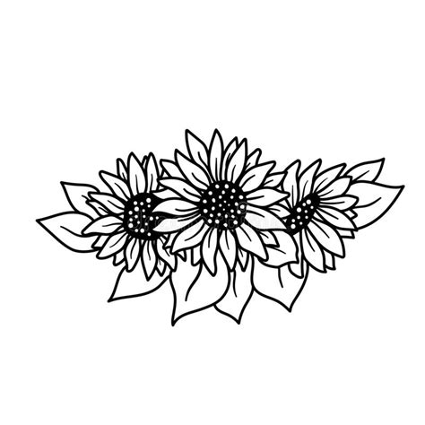 Sunflower Black And White Clipart