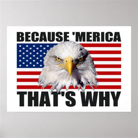 Because Merica That S Why Us Flag Poster Large