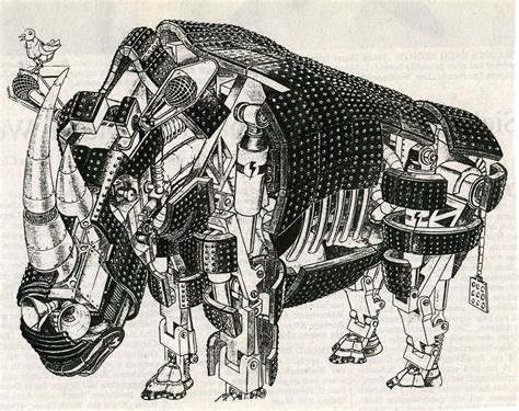 Rinocero de durero, rinocero de durer (eo); Ein Rhinozeros 2