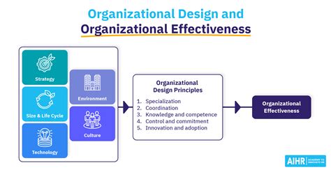 What Is Organizational Optimization Hr Glossary Aihr