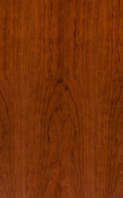The black cherry or prunus serotina is a species in the subgenus padus with beautiful flower clusters, each separate flower attached by short equal stalks this north american native tree usually grows to 60' but can grow as tall as 145 feet on exceptional sites. American Black Cherry Flat Cut Wood Veneer #woodveneer #wood #woodporn #crownandquarter #timber ...