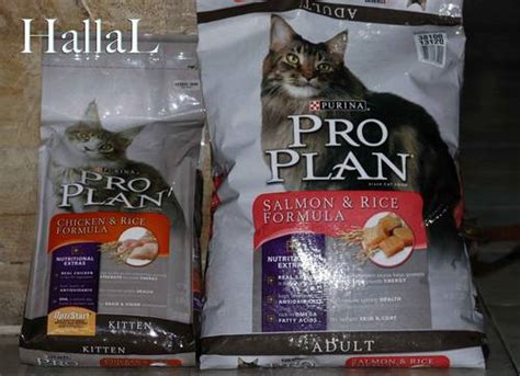 Makanan kucing banyak dijual berupa kalengan ataupun kiloan. Daftar Cat Food Terbaik