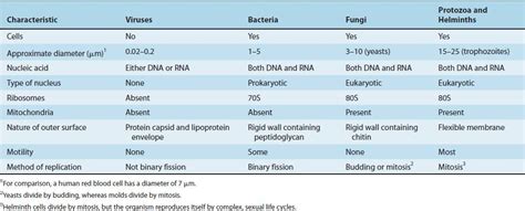 Bacteria Compared With Other Microorganisms Basicmedical Key