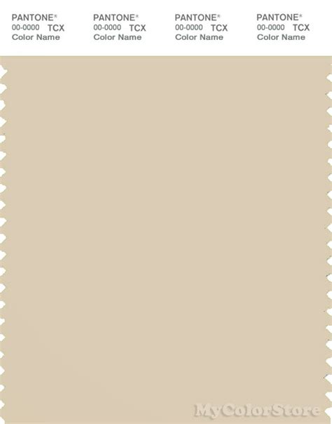 Pantone Smart 13 1008 Tcx Color Swatch Card Pantone Bleached Sand