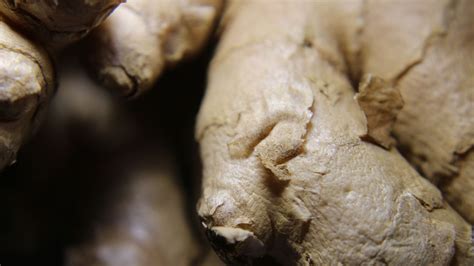 Comment conserver du gingembre frais astuces et règles pour conserver