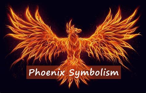Phoenix Symbolism What Does Phoenix Symbol Stand For