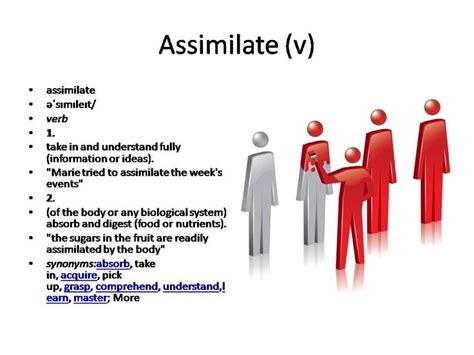Assimilate Meaning Vocabulary Cards Vocabulary Flash Cards English