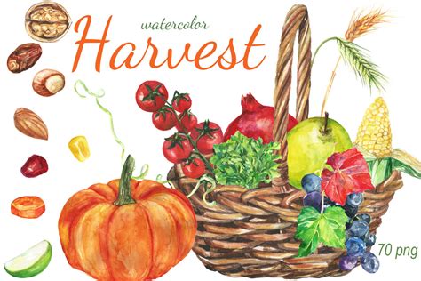 Watercolor Harvest Clip Art By Dolly Potterson Thehungryjpeg