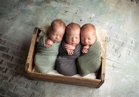 Triplets Newborn Triplets Triplet Boys Newborn Photography Newborn