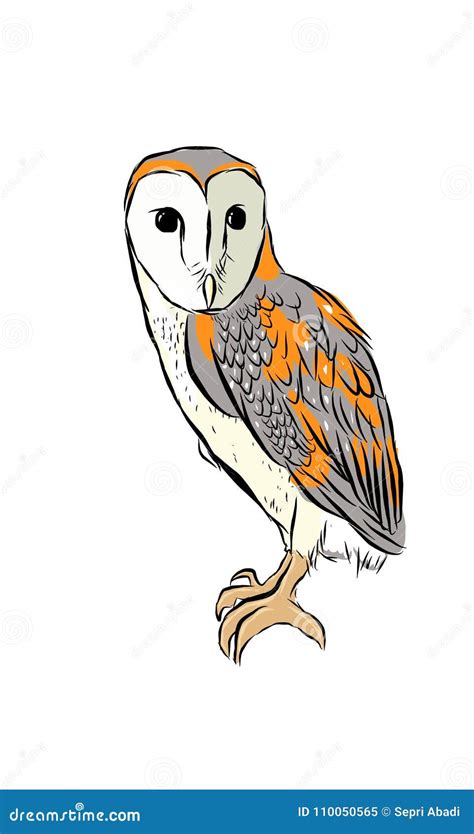 Barn Owl Stock Illustration Illustration Of Logo Animal 110050565